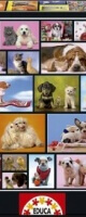 Shared moments, 1000 p. Educa