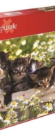 Sweet kittens, 1.000p. Concours Puzzle Belgique 2016 - 12 heures Arlon