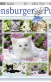 Ravensburger - 500 p. - Kitten in a basket